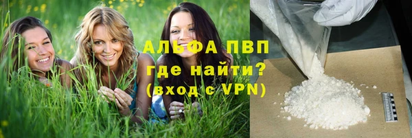 дживик Арсеньев